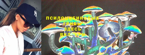 метадон Алексин