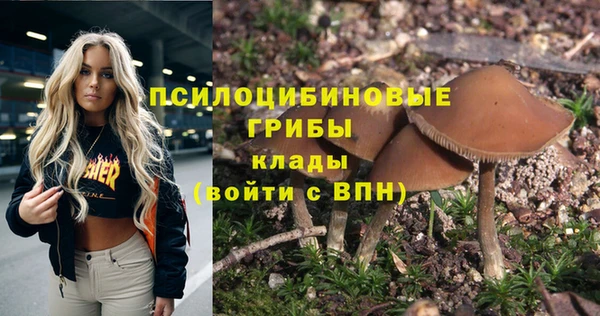 соль курить ск Алзамай