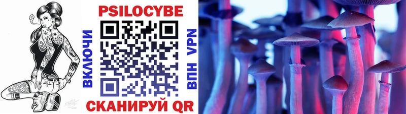 Галлюциногенные грибы Psilocybe  купить закладку  Исилькуль 